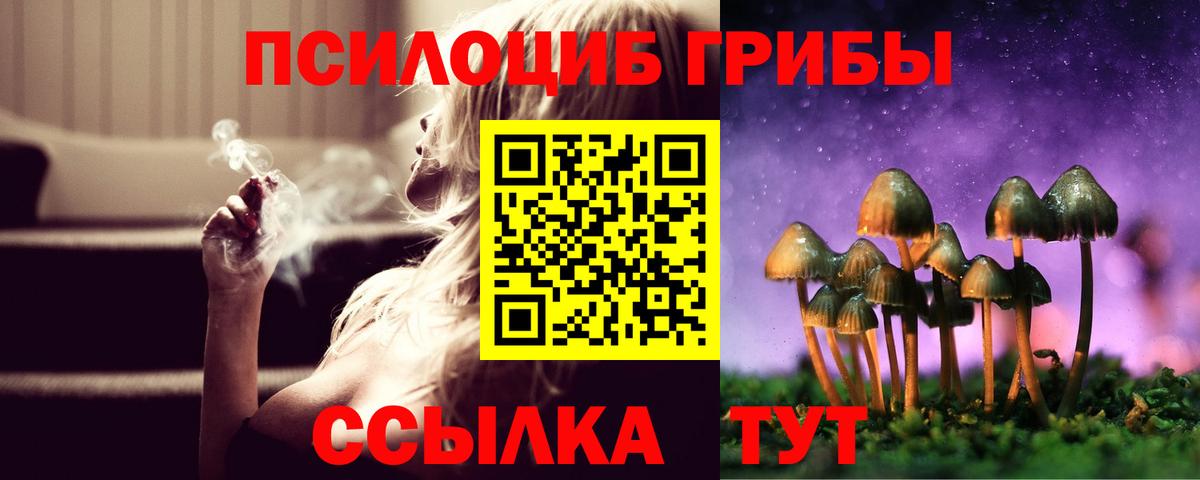 Псилоцибиновые грибы Cubensis Мончегорск