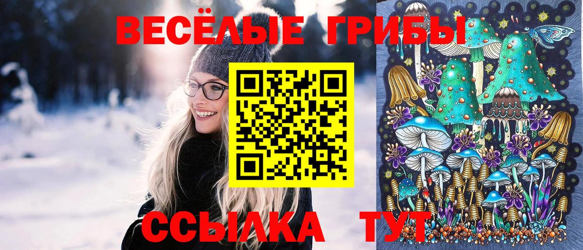 Мончегорск  Галлюциногенные грибы MAGIC MUSHROOMS  Вход с VPN 